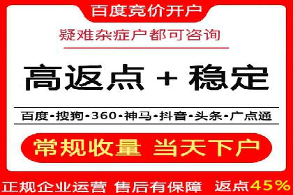 电商平台信息流广告的创意与优化：成功案例分析